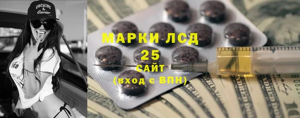 шишки Медногорск