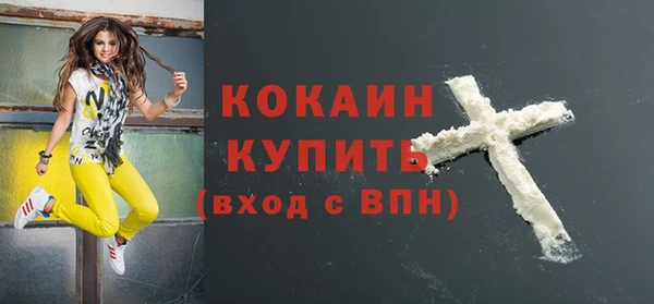 шишки Медногорск