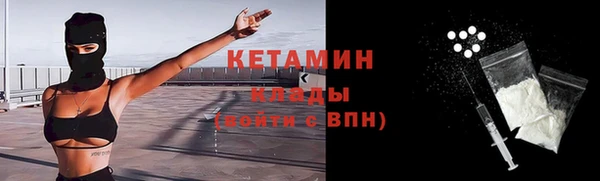 прущие грибы Медвежьегорск