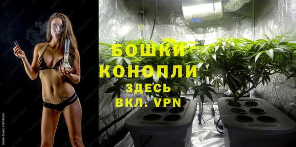 шишки Медногорск