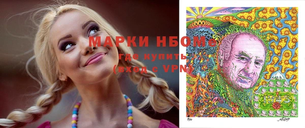 прущие грибы Медвежьегорск