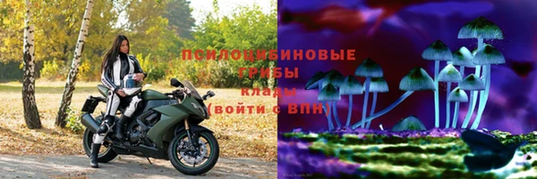 шишки Медногорск