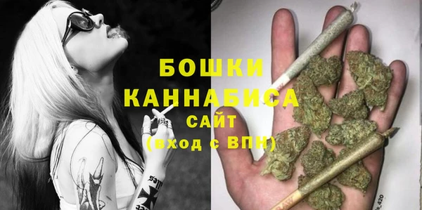 шишки Медногорск