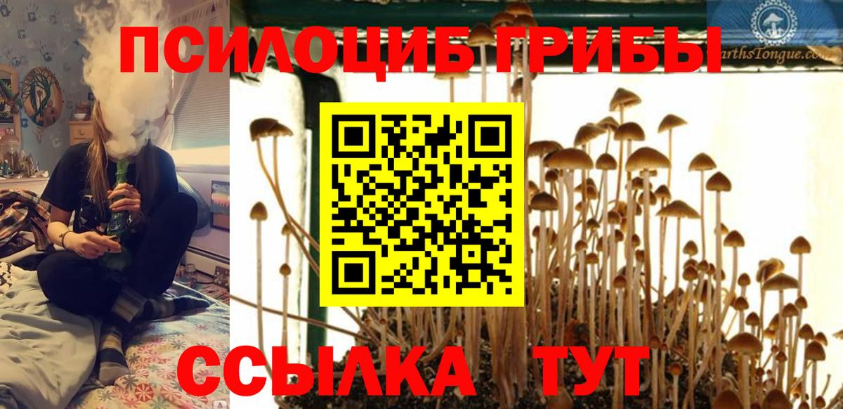 купить   Вход с VPN  Сосновый Бор  Галлюциногенные грибы Psilocybine cubensis 