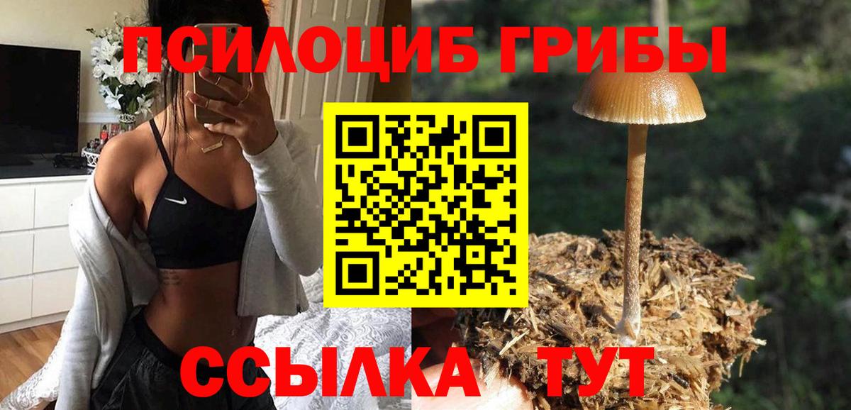 Псилоцибиновые грибы MAGIC MUSHROOMS Сосновый Бор