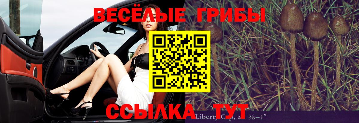 Псилоцибиновые грибы прущие грибы  Сосновый Бор 