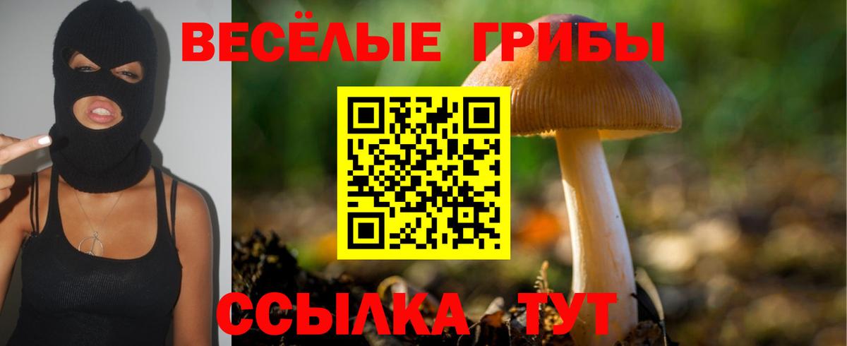 Галлюциногенные грибы GOLDEN TEACHER Сосновый Бор